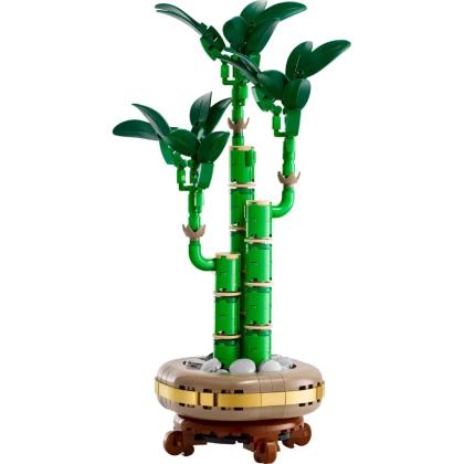 bamboo_botanicals_2
