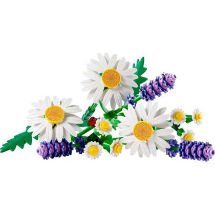 botanicals_daisies_2