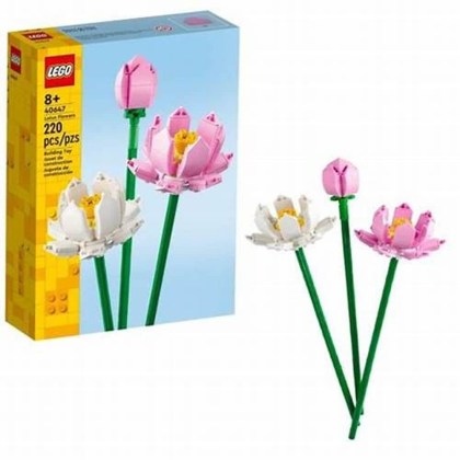 Γνήσια τουβλάκια Lego συσκευασία με 220 κομμάτια